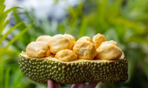 Manfaat Buah Lai yang Mirip dengan Buah Durian untuk Kesehatan